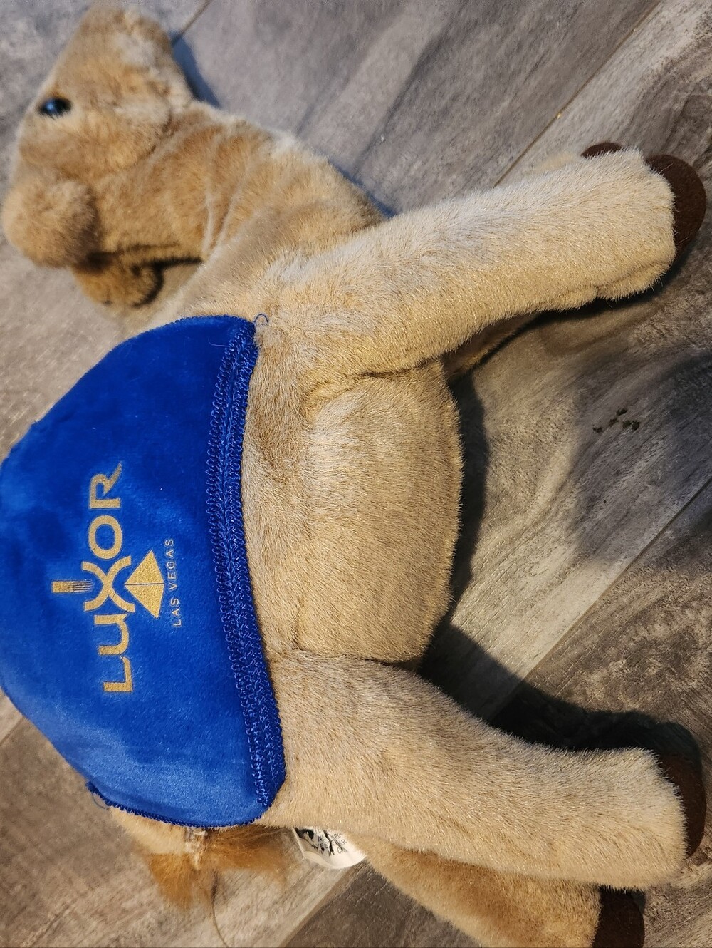 Luxor Las Vegas Camel Souvenir Plush Medium Size